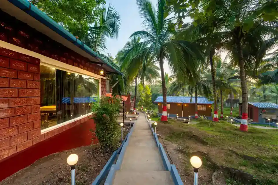 Wooden walkway through jungle at Wild Mist resort Dandeli for nature walks